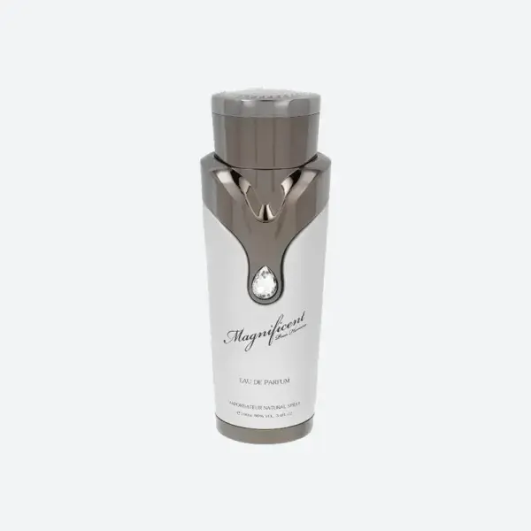 Armaf Magnificent Pour Homme Edp 100ml